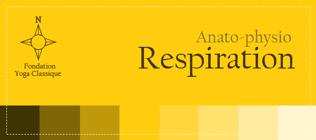AES-Image_CRS_200_respiration