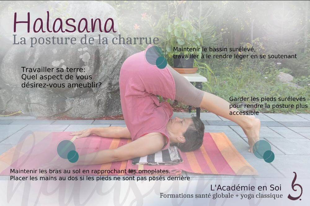 halasana_asana_metaphores