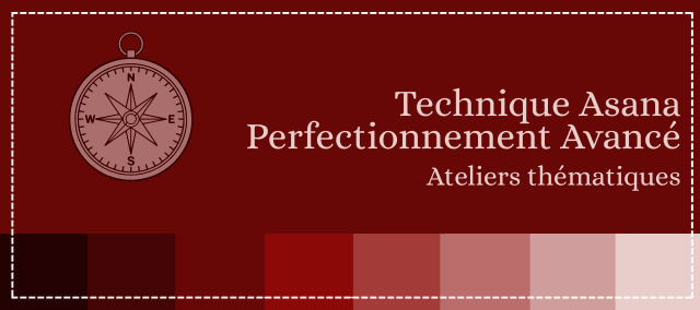 Technique Asana Perfectionnement Avancé, ateliers de 8h