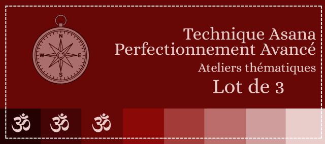 Technique Asana Perfectionnement Avancé, ateliers de 8h