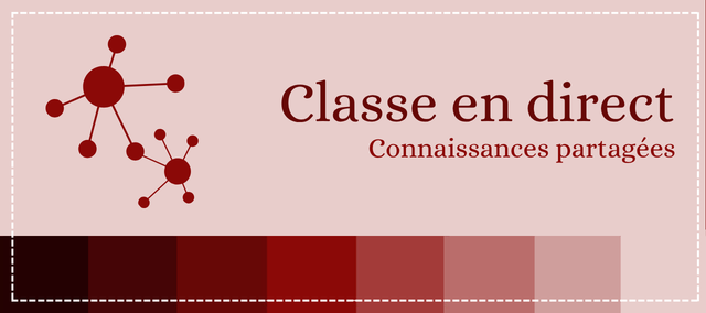 Classe en direct avec l'Académie en Soi