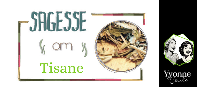 Infusion - Sagesse. Le mélange propice à la méditation