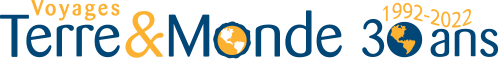 Logo TEM 30 ans signature