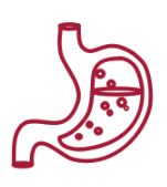 Digestion